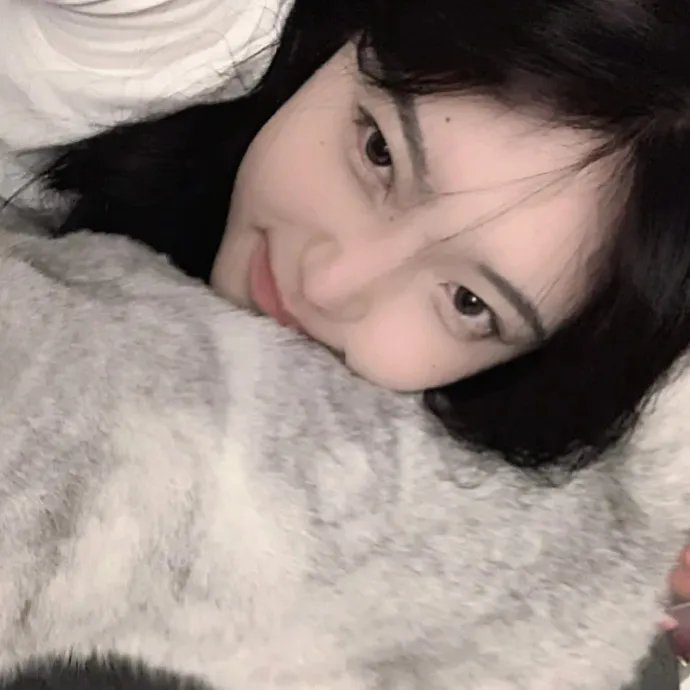 赛车生涯 在线观看